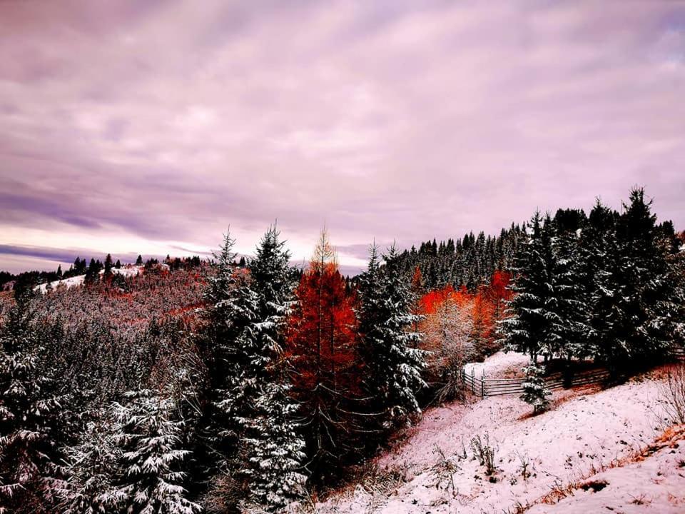 Antal Apartmans Lunca De Sus Kulcsoshaz Gyimesfelsolok Exteriör bild