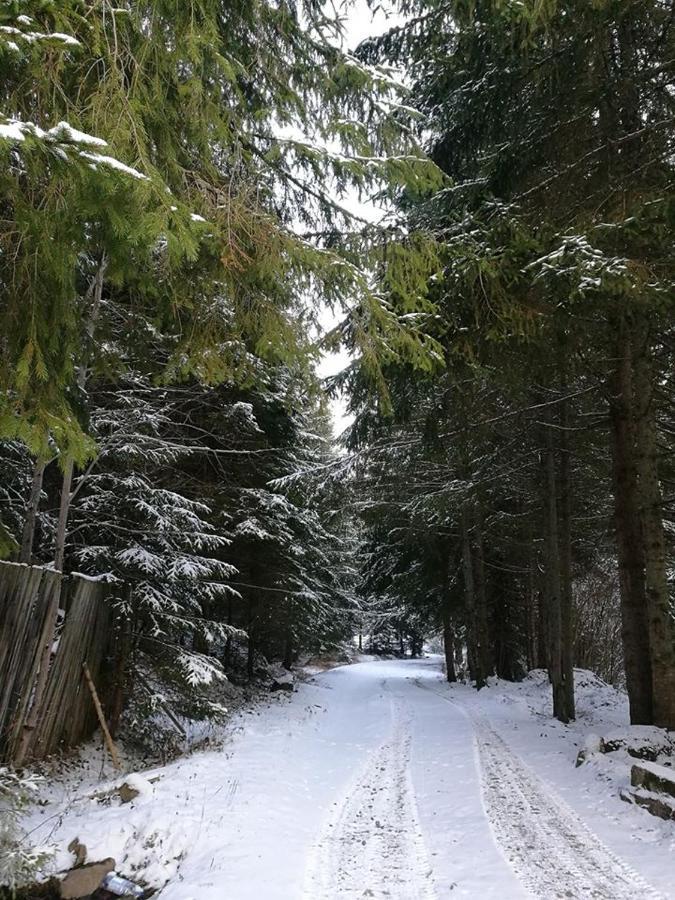 Antal Apartmans Lunca De Sus Kulcsoshaz Gyimesfelsolok Exteriör bild