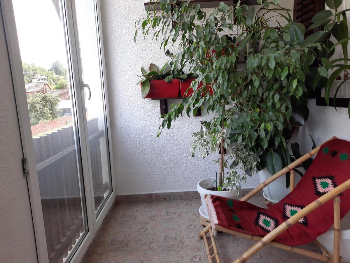 Antal Apartmans Lunca De Sus Kulcsoshaz Gyimesfelsolok Exteriör bild