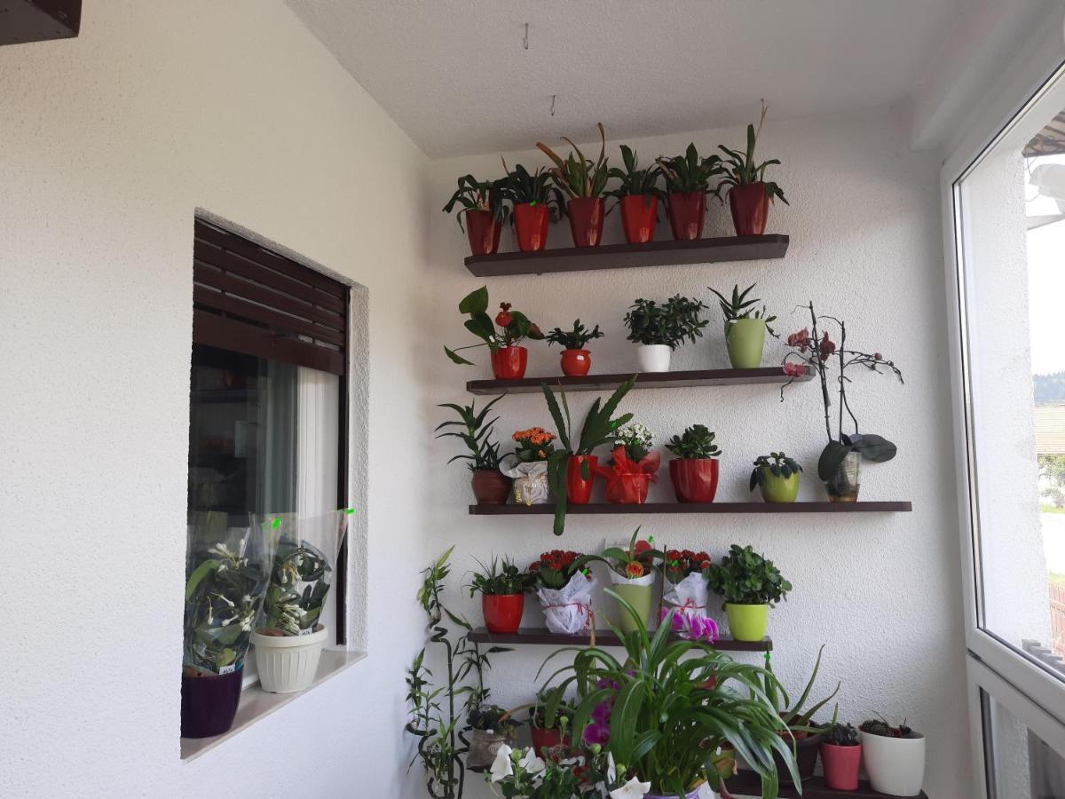 Antal Apartmans Lunca De Sus Kulcsoshaz Gyimesfelsolok Exteriör bild
