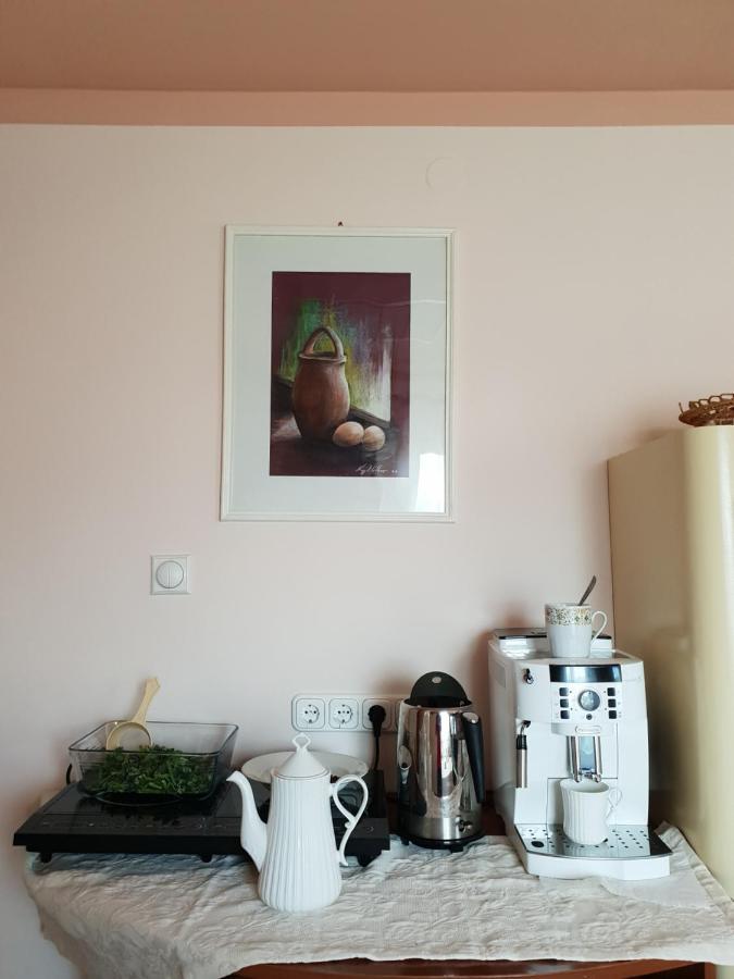 Antal Apartmans Lunca De Sus Kulcsoshaz Gyimesfelsolok Exteriör bild