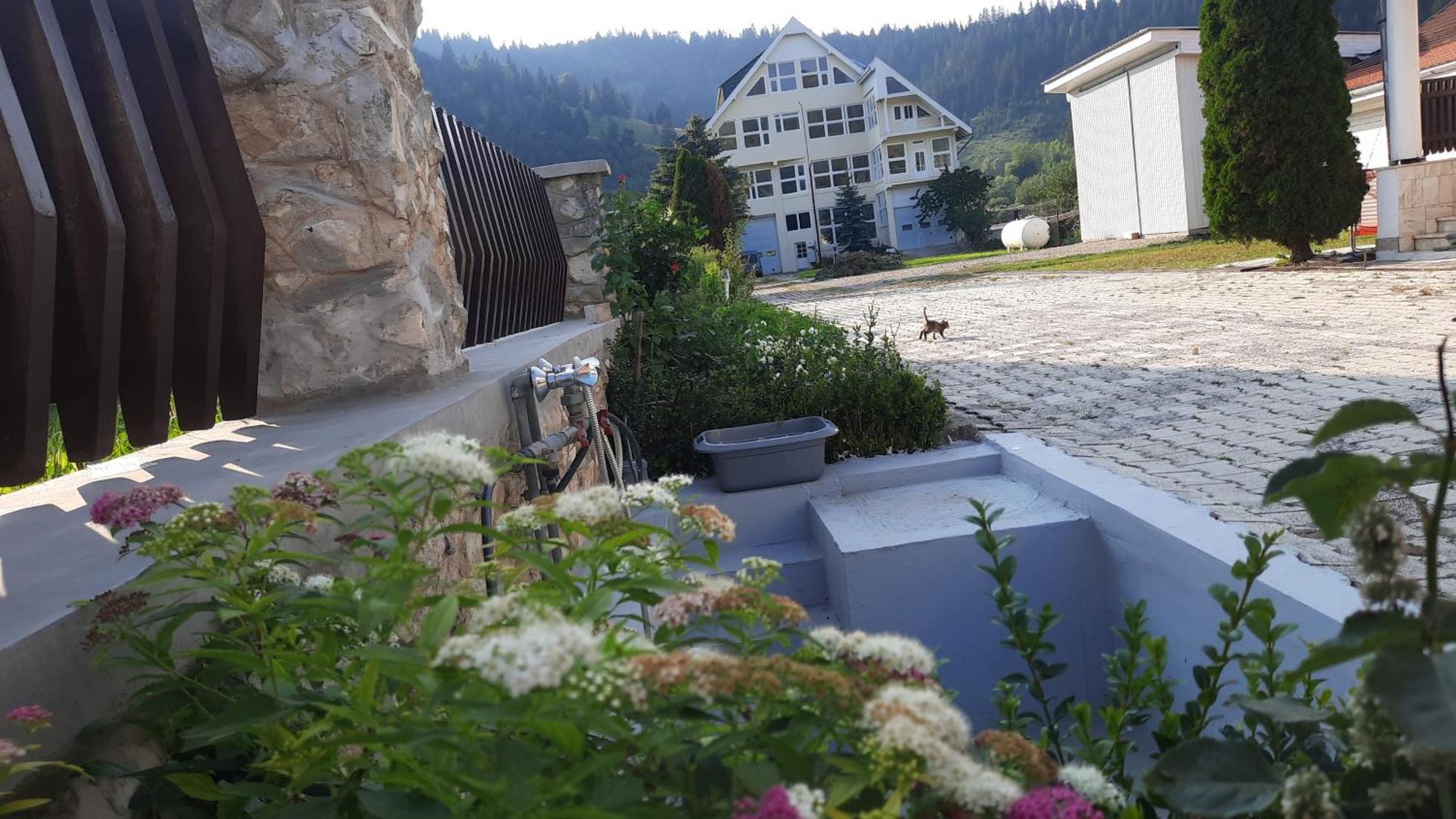 Antal Apartmans Lunca De Sus Kulcsoshaz Gyimesfelsolok Exteriör bild
